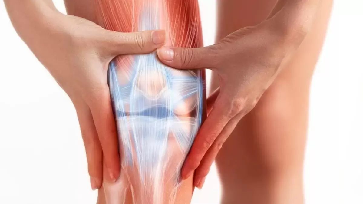 Osteflex gel kaltetutako artikulazio eremuan egunean hiru aldiz aplikatzen da